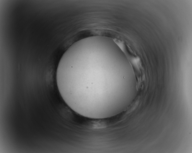 X0000087610275200705181300