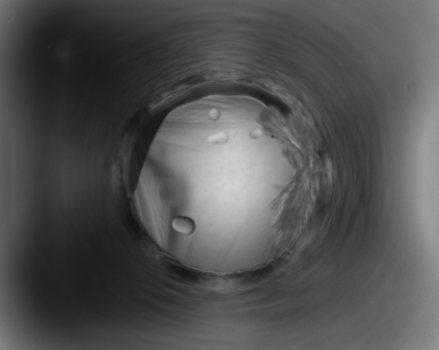 X0000087610276200705181300