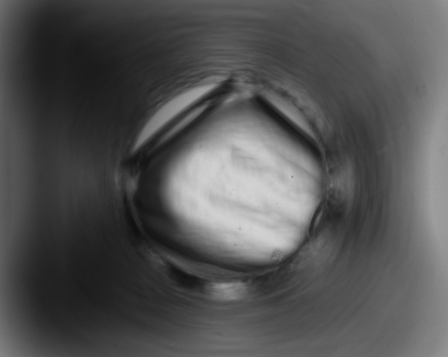 X0000087610277200705181300