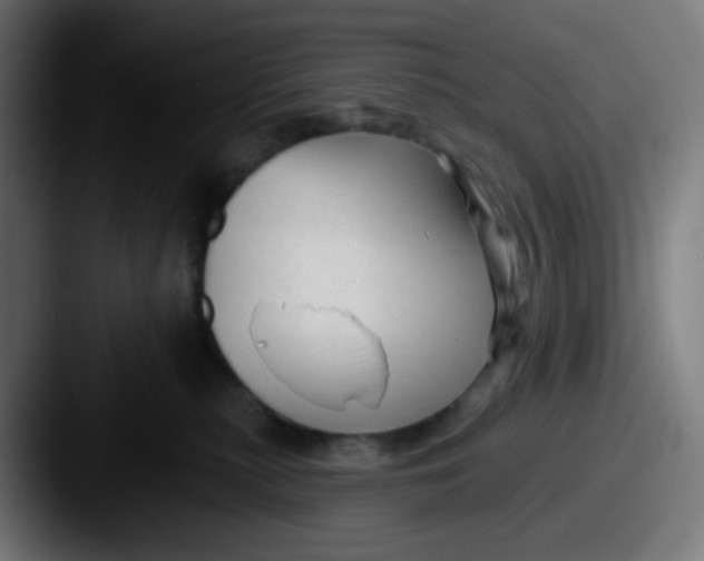 X0000087610279200705181300