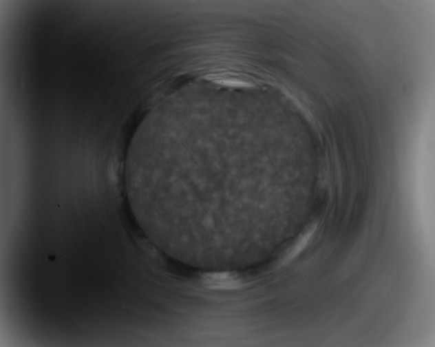 X0000087610281200705181300