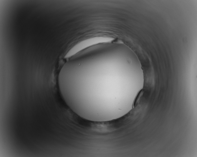 X0000087610282200705181300