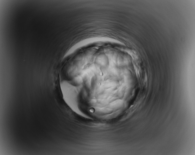 X0000087610284200705181300