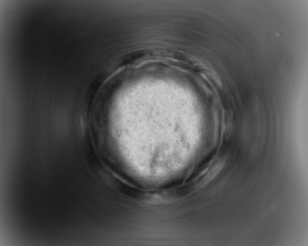 X0000087610285200705181300