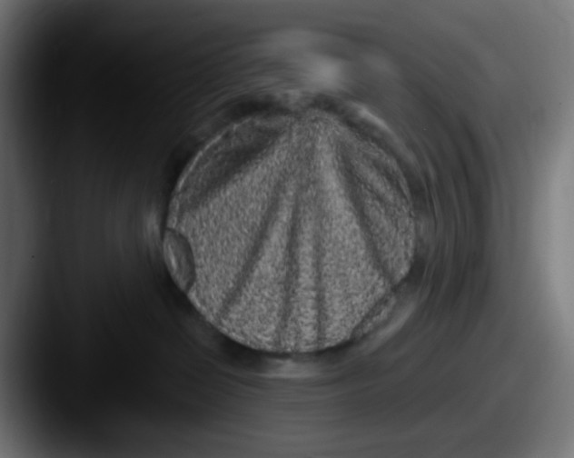 X0000087610286200705181300