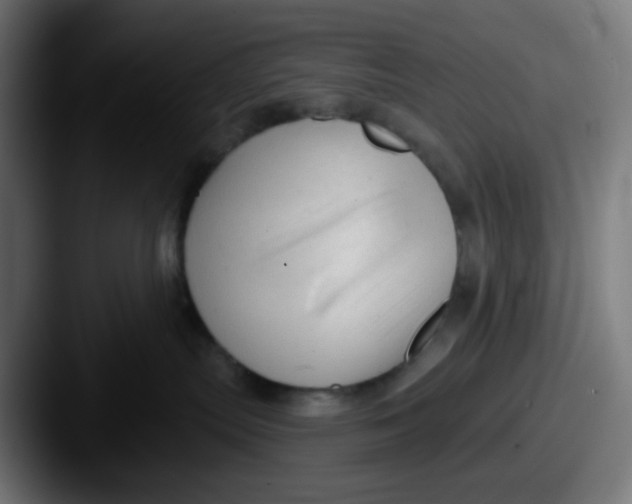 X0000087610287200705181300