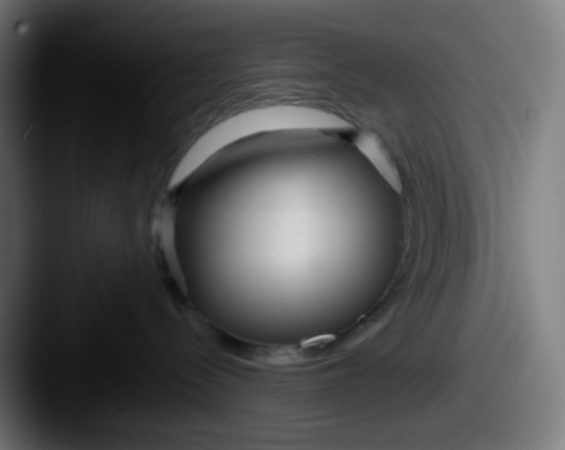 X0000087610288200705181301