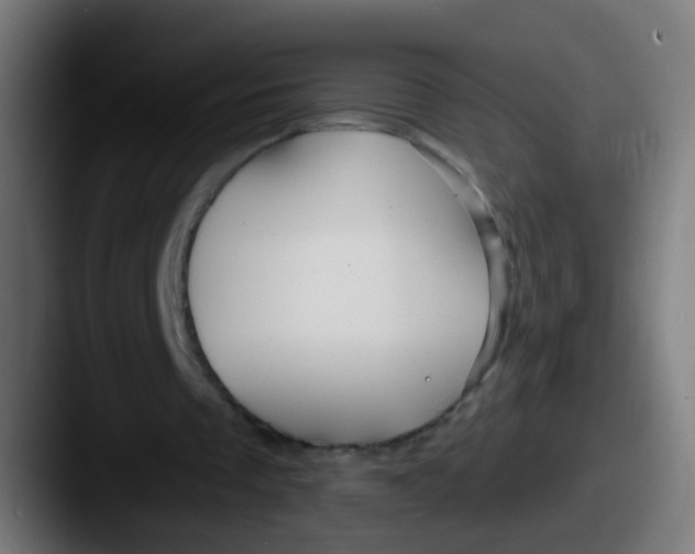 X0000087610289200705181300