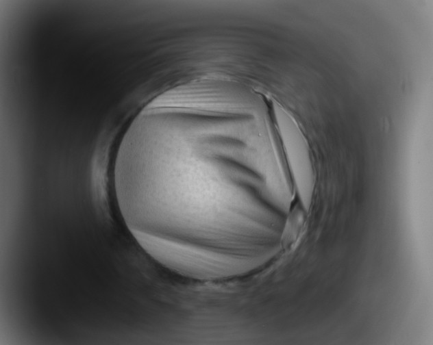 X0000087610290200705181300