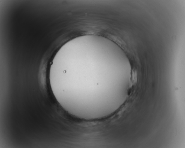 X0000087610291200705181300