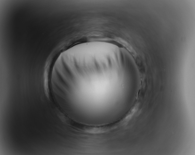 X0000087610293200705181300