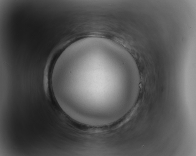 X0000087610294200705181300