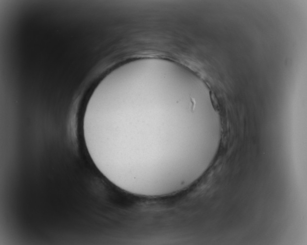 X0000087610296200705181300