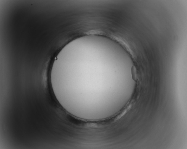 X0000087610298200705181300