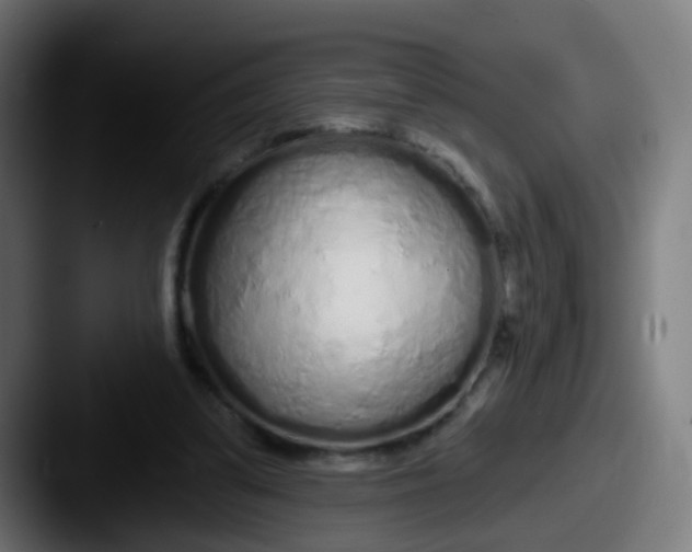 X0000087610299200705181300