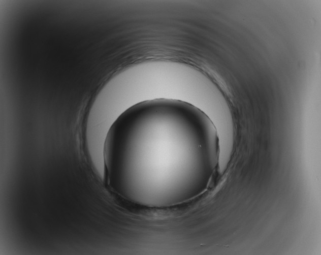 X0000087610305200705181300