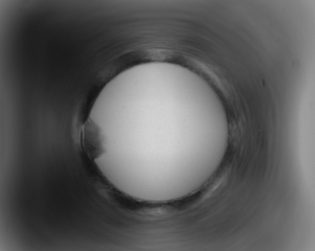 X0000087610307200705181300