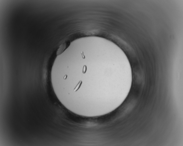 X0000087610308200705181300