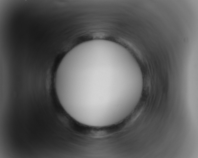 X0000087610311200705181300