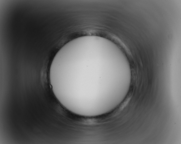 X0000087610313200705181300