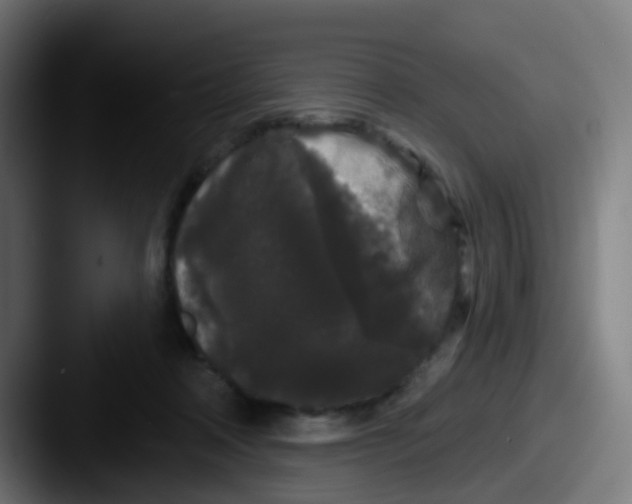 X0000087610314200705181300