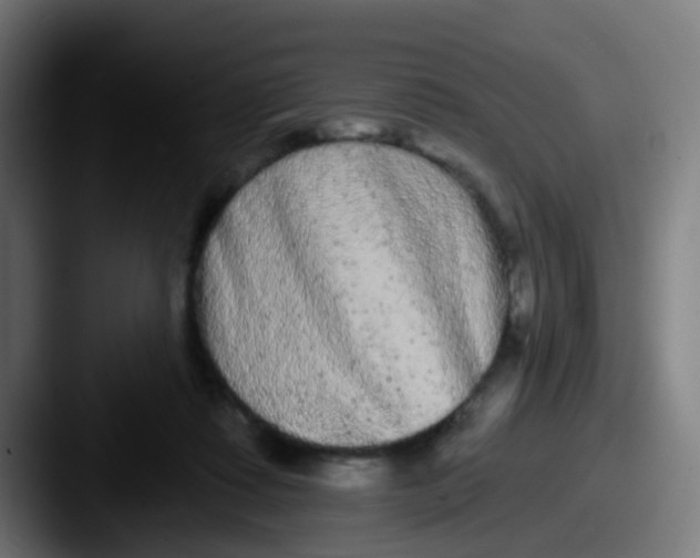 X0000087610315200705181300