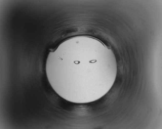 X0000087610316200705181300