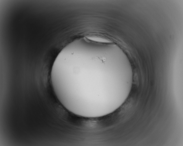 X0000087610318200705181300