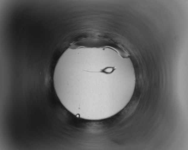 X0000087610320200705181300