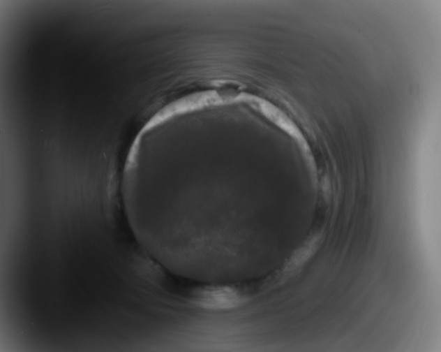 X0000087610322200705181300