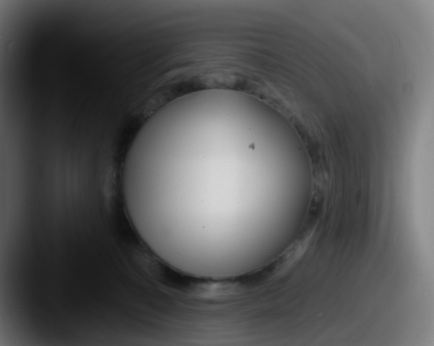 X0000087610323200705181300