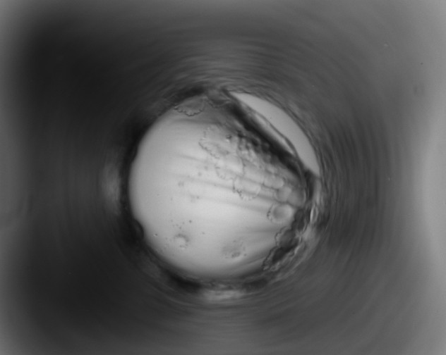 X0000087610331200705181259