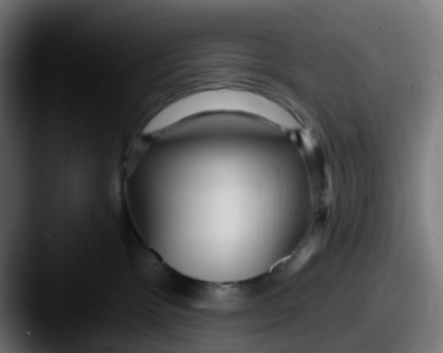 X0000087610333200705181259