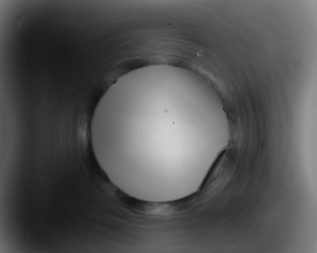 X0000087610334200705181259