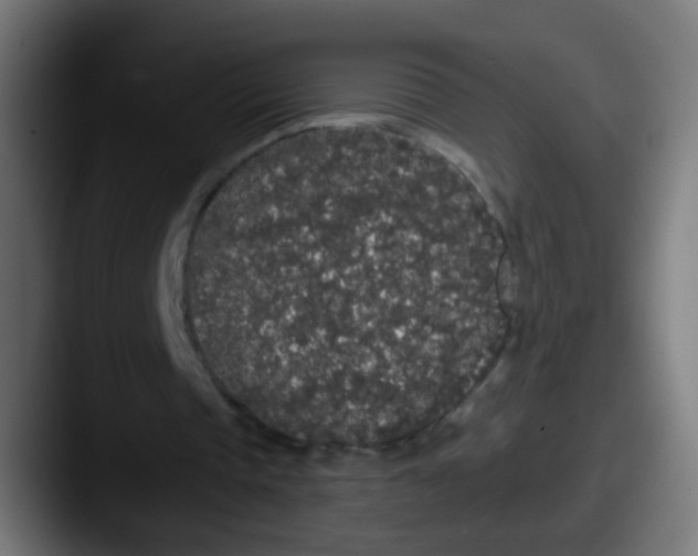 X0000087610337200705181259