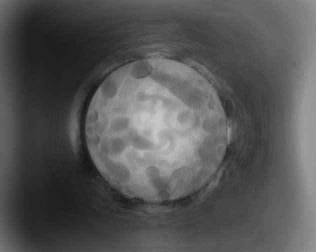 X0000087610339200705181259