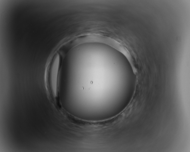 X0000087610340200705181259