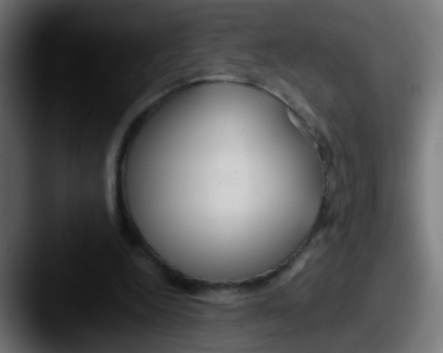 X0000087610344200705181259