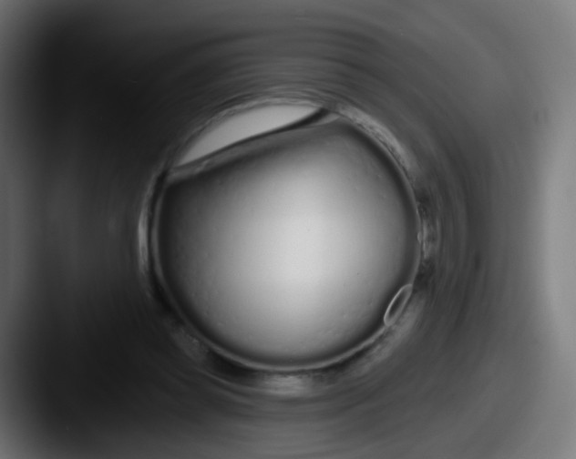 X0000087610349200705181259