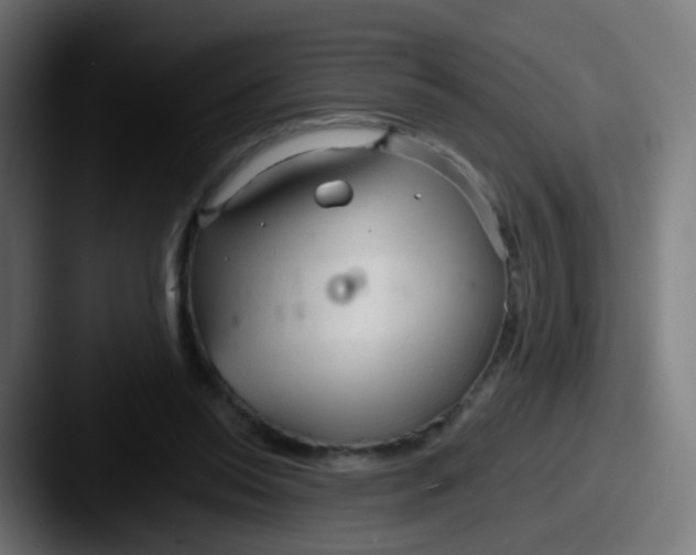 X0000087610350200705181259