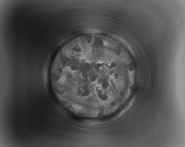 X0000087610351200705181259