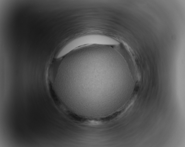 X0000087610352200705181259