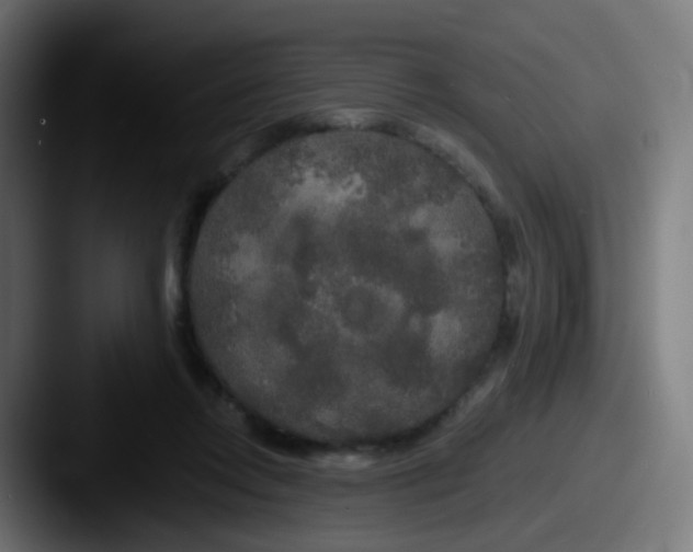 X0000087610358200705181259