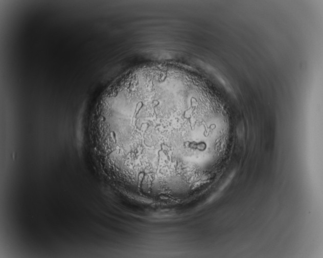 X0000087610359200705181259