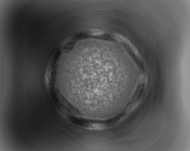 X0000087610360200705181259