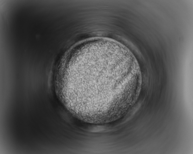 X0000087610361200705181259