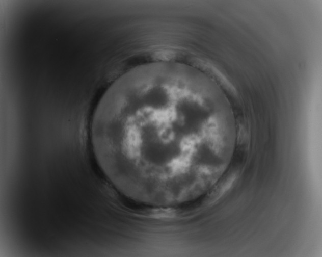 X0000087610363200705181259