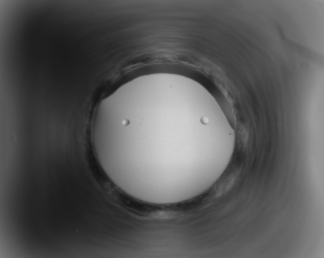 X0000087610364200705181259