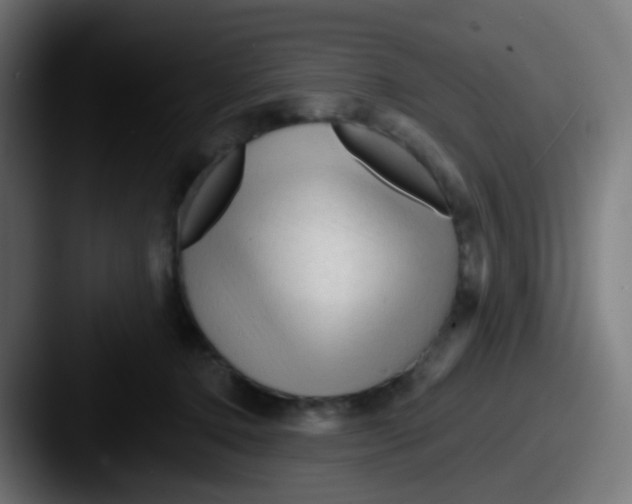 X0000087610368200705181259