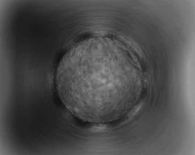 X0000087610369200705181259